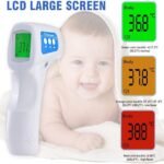 Termometro berrecon 2