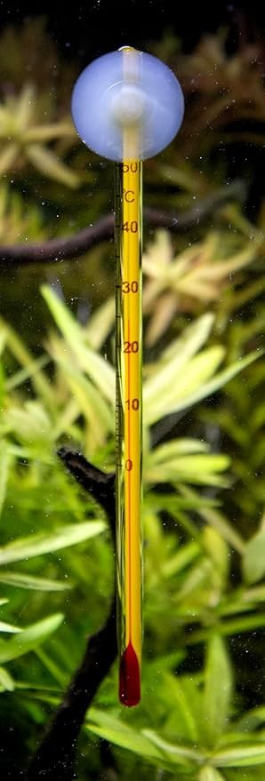 Termómetro Acuario Vidrio